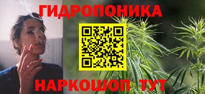 сатива Славгород