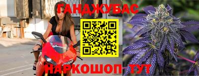 сатива Славгород