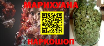 сатива Славгород