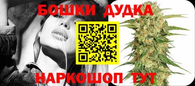 хмурый Сланцы