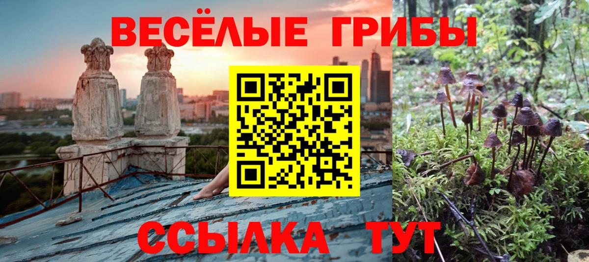 Галлюциногенные грибы MAGIC MUSHROOMS  Вход с VPN  Похвистнево 